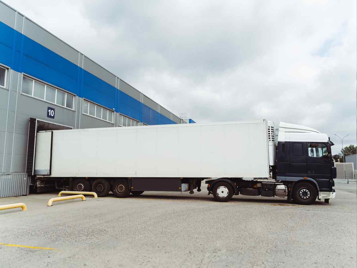 Fast Delivery