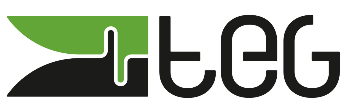 TEG